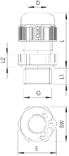 Placeholder