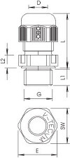 Placeholder