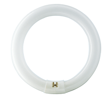 PHILIPS Zářivka kruhová MASTER TL-E Circular Super 80 40W/865 1CT *8727900840575